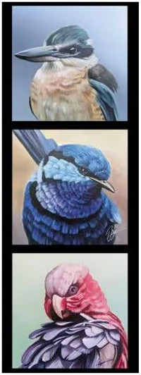 Australian Wildlife Kookaburra Blue Wren Galah Chris Riley DV3913 Cotton Quilting Fabric Small Panel Australian Wildlife Kookaburra Blue Wren Galah Chris Riley DV3913 Cotton Quilting Fabric Small Panel