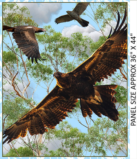 Wings of Wonder Wedgetail Eagle 4039A Cotton Quilting Fabric Panel Wings of Wonder Wedgetail Eagle 4039A Cotton Quilting Fabric Panel