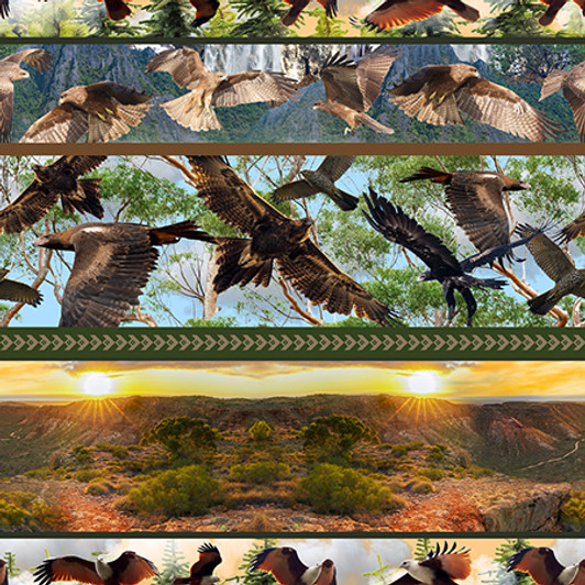 Wings of Wonder Wedgetail Eagles Stripe 4039D Cotton Quilting Fabric Wings of Wonder Wedgetail Eagles Stripe 4039D Cotton Quilting Fabric