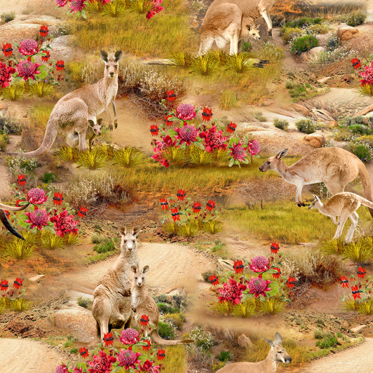 Outback Magic Australian Animals Kangaroos  4035E Cotton Quilting Fabric Outback Magic Australian Animals Kangaroos  4035E Cotton Quilting Fabric