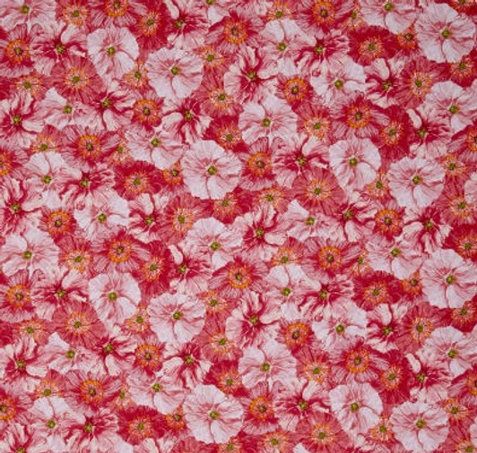 Poppy Garden Poppy Collage Raspberry Poppy Garden Poppy Collage Raspberry