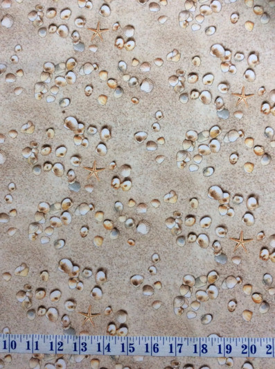 Sea Shells Beach Sand Landscape Medley Collection Sea Shells Beach Sand Landscape Medley Collection