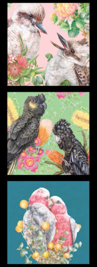 Australian Birds Kookaburras Cockatoos Kayla Reay DV6458 Cotton Quilting Fabric Panel