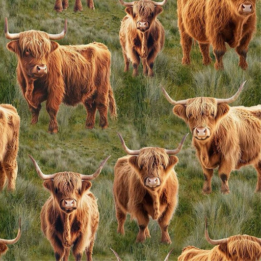 Homestead Bovine Highland Cows 4101F Cotton Quilting Fabric Homestead Bovine Highland Cows 4101F Cotton Quilting Fabric