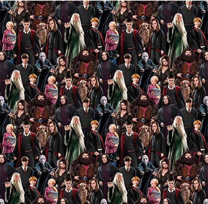 Harry Potter Characters 15226W-99 108 Inch Backing Cotton Quilting Fabric