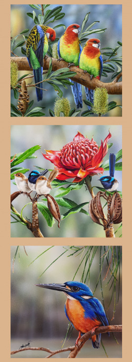 Australian Wildlife Art Birds Waratah DV3173 Cotton Quilting Fabric Small Panel