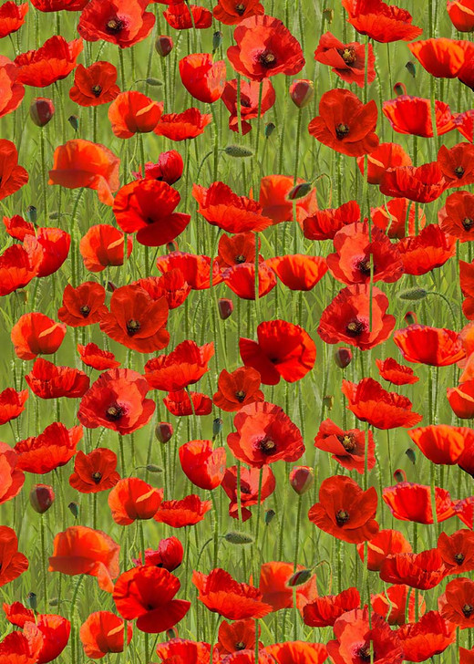 Anzac Day Remembering Day Red Poppies Green Background Cotton Quilting Fabric 1/2 YARD