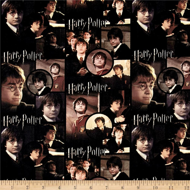 Harry Potter Harry Postcards Multi Digital Print