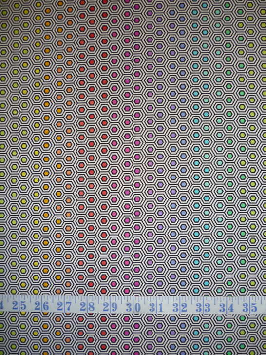 Line Work Hexi Rainbow Tula Pink PWTP151-INK Cotton Quilting Fabric