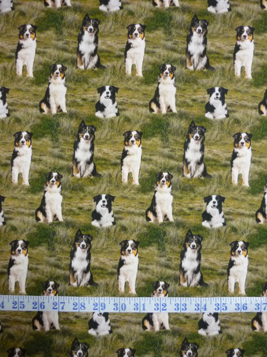 Merino Muster Sheep Dog Border Collie Grass Background Cotton Quilting Fabric