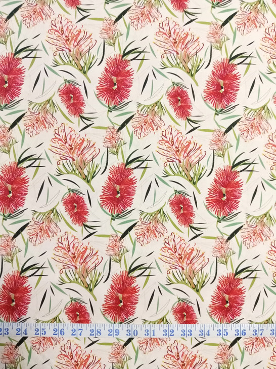 Australian Grevillea and Bottle Brush Cream Background Robyn Hammond Cotton Quilting Fabric