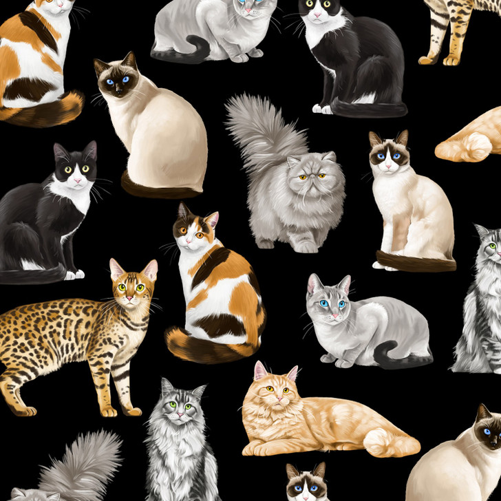 Feline Fancy Cats Black Background Cotton Quilting Fabric