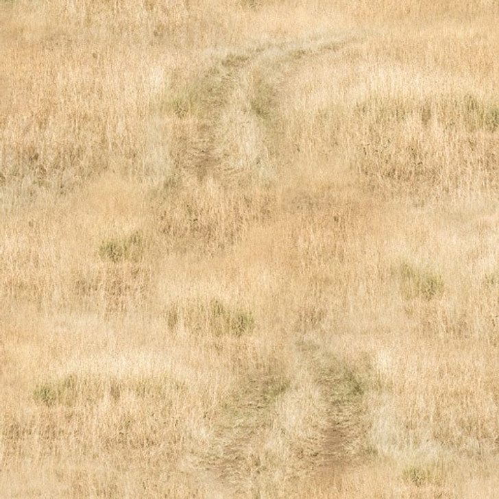 African Safari Savannah Grassland Dry Season 0223Y Cotton Quilting Fabric