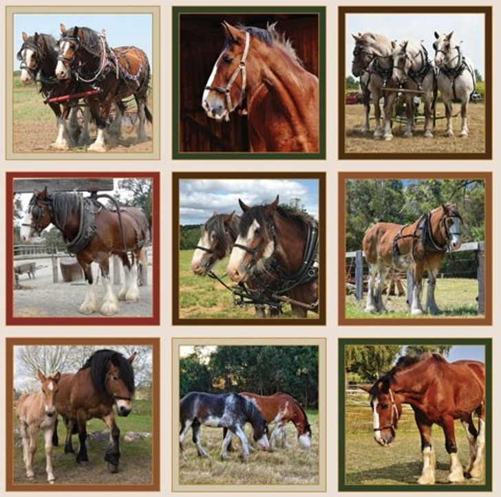 Heavy Horses Draft Horses 13 inch Blocks 1042C Extra Large Cotton Quilting Fabric Panel