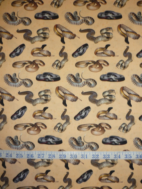 Dangerous Australia Snakes Sand Background Cotton Quilting Fabric