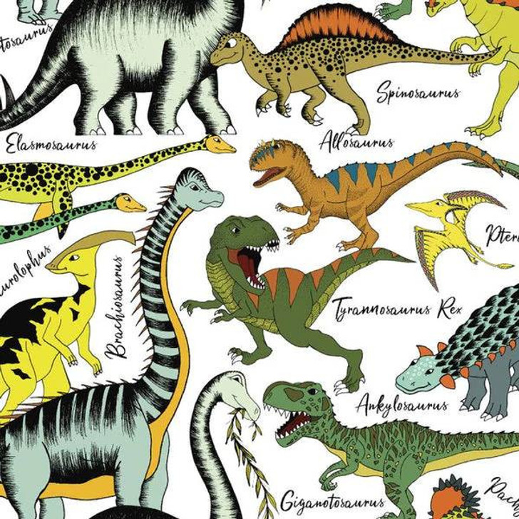 Dino Raw Dinosaurs Names Allover White DV5019 Cotton Quilting Fabric