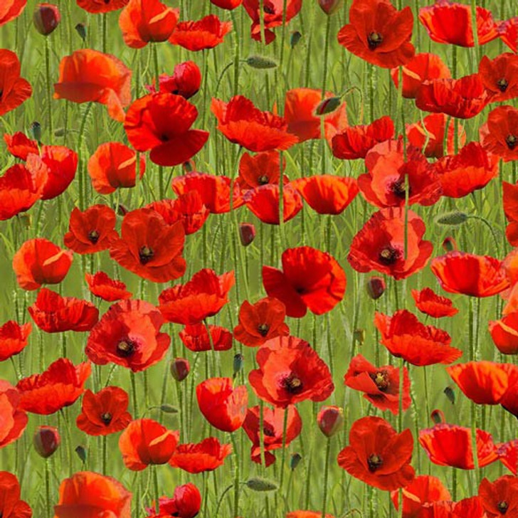 Anzac Day Remembering Day Red Poppies Green 108" Wide Backing Cotton Quilting Fabric