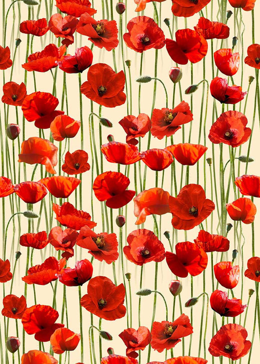 Anzac Day Remembering Day Red Poppies Cream 108" Wide Backing Cotton Quilting Fabric