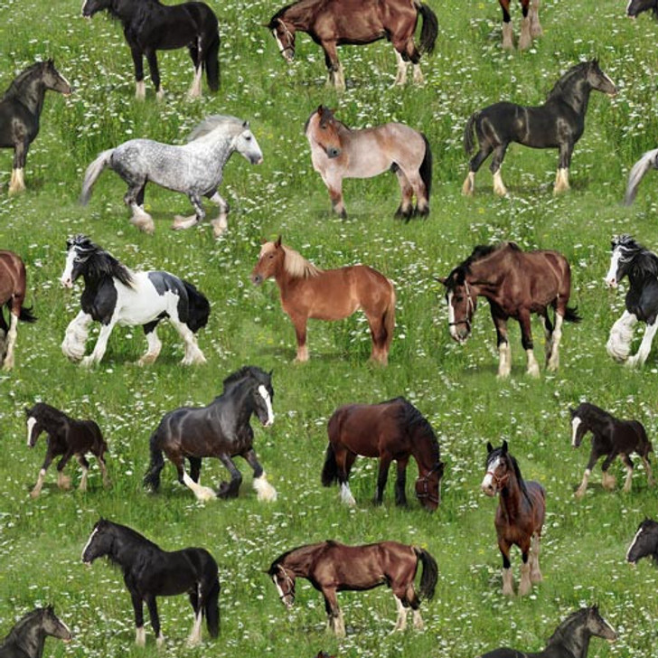 Heavy Horses Draft Horses Allover 1042E Cotton Quilting Fabric