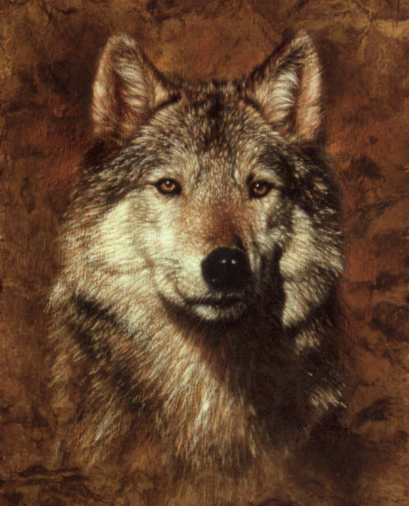 Portraits of Perfection Wolf on Bark ML31761C1 Cotton Quilting Fabric Panel