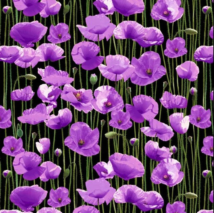Animals of War Purple Poppy Field Black Cotton Quilting Fabric