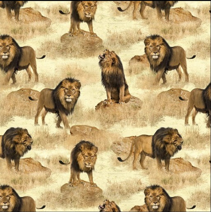 African Safari Lions Savannah 0223M Cotton Quilting Fabric