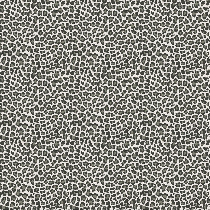 Baby Safari African Leopard Grey 24676-93 Cotton Quilting Fabric