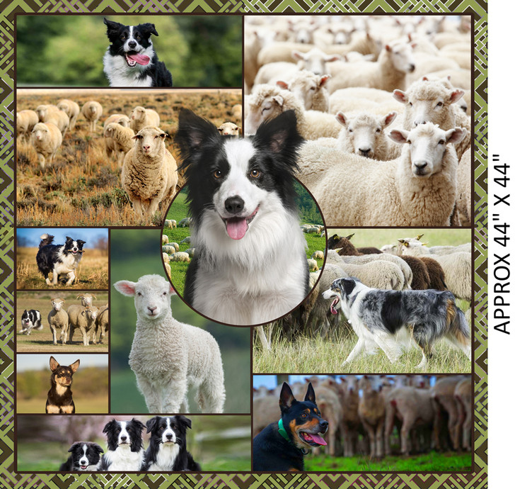 Merino Muster II Farm Dogs and Sheep 3094D Cotton Quilting Fabric Panel