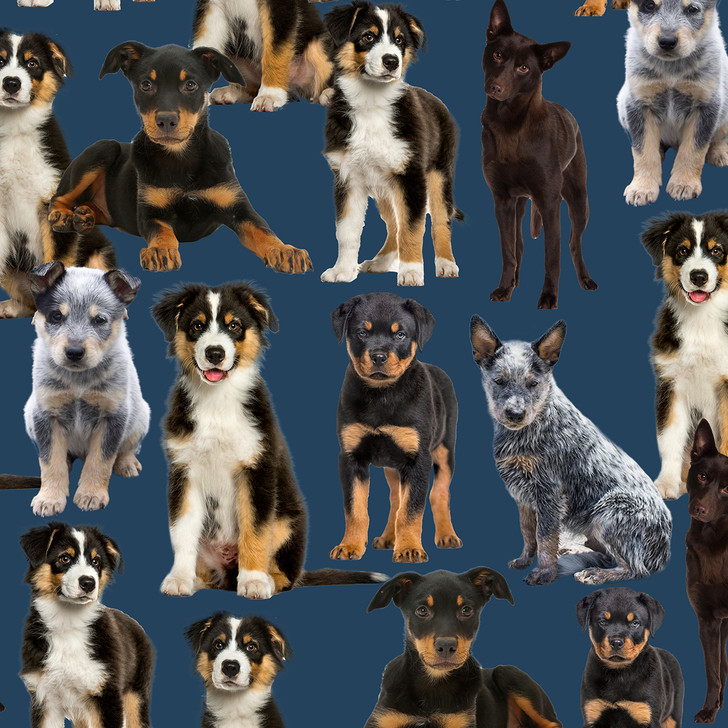 Merino Muster II Working Farm Dogs Mixed Breeds 3094E Cotton Quilting Fabric