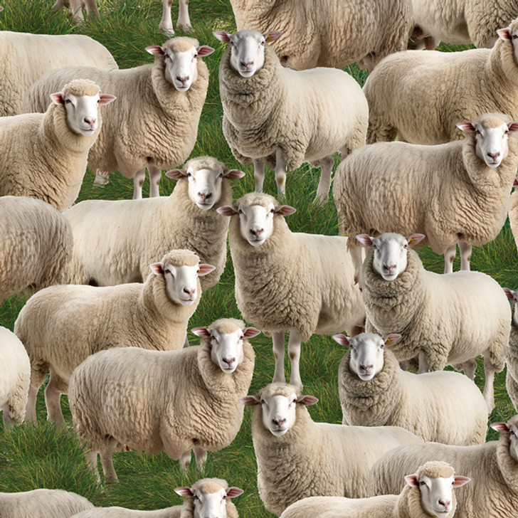 Merino Muster II Sheep Grass Background 3094H Cotton Quilting Fabric