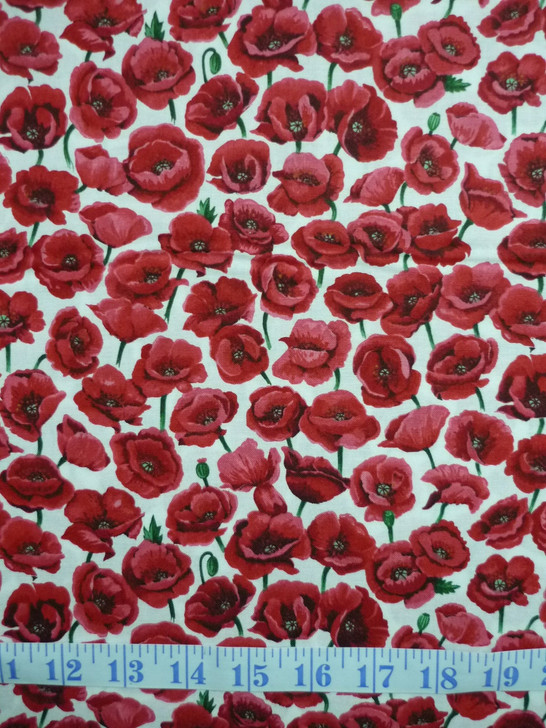 Poppies Red in the Field White Background