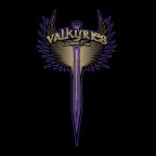 VALKYRIES TEAM STORE