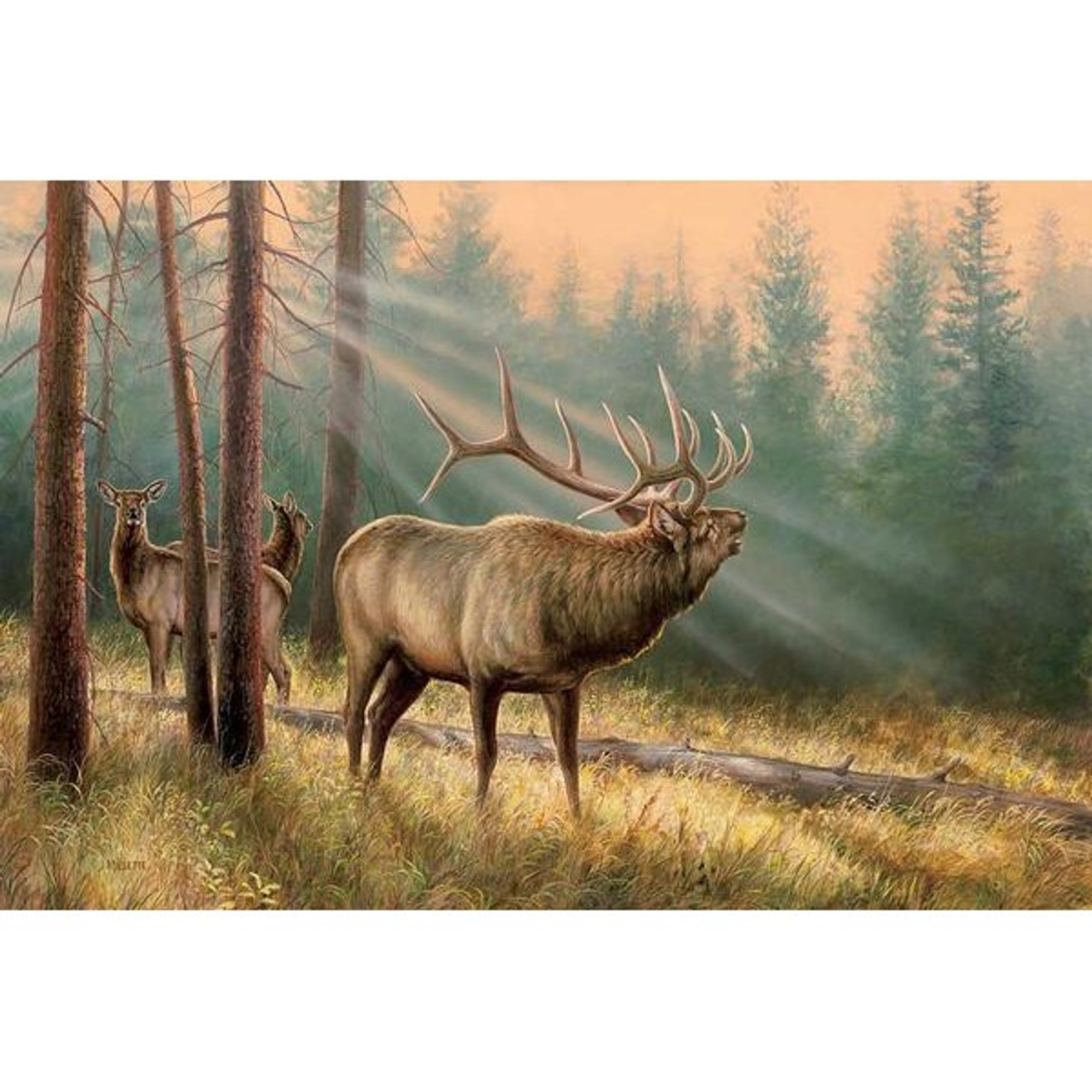 Answering the Call Elk Original Acrylic Painting by Rosemary Millette ...