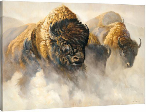 Phantoms of the Plains Bison Gallery Wrapped Canvas by Grant Hacking