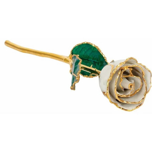 Lacquered 24K Gold Trimmed Pearl Coloured Rose