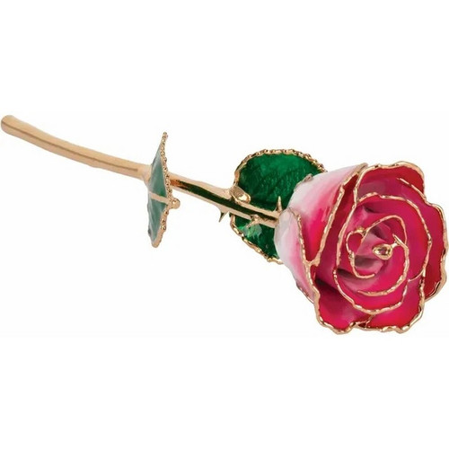 Lacquered 24k Gold Trimmed Cream Red  Rose