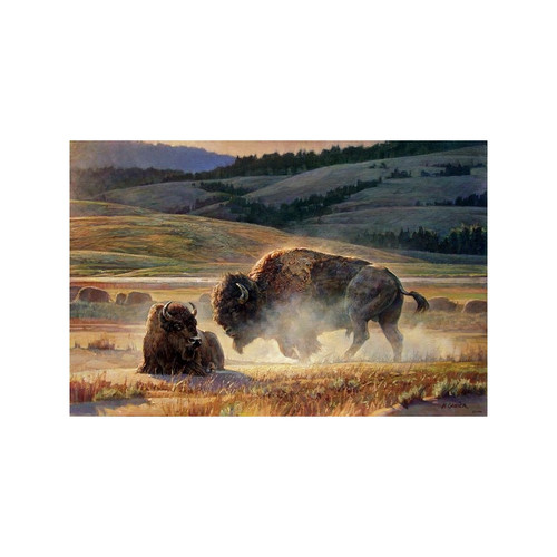 Eye of the Storm Limited Edition Giclée on Canvas by Nancy Glazier