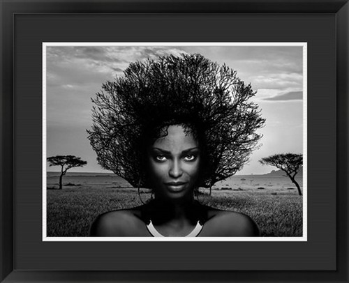 Serengeti Queen Framed Fine Art Photography Print by Julian Lauren