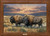 Dusty Plains Bison Framed Gallery Canvas by Rosemary Millette