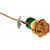 Lacquered 24K Gold Trimmed Cream Orange Rose