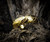 Gold One Ring of Power Lord of the Rings