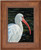 Ibis be Going Framed Original Painting on Canvas by Rollie Brandt