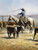 In the Texas Dust Giclee on Canvas by Martin Grelle