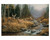October Mist Whitetail Deer Gallery Wrapped Canvas by Rosemary Millette