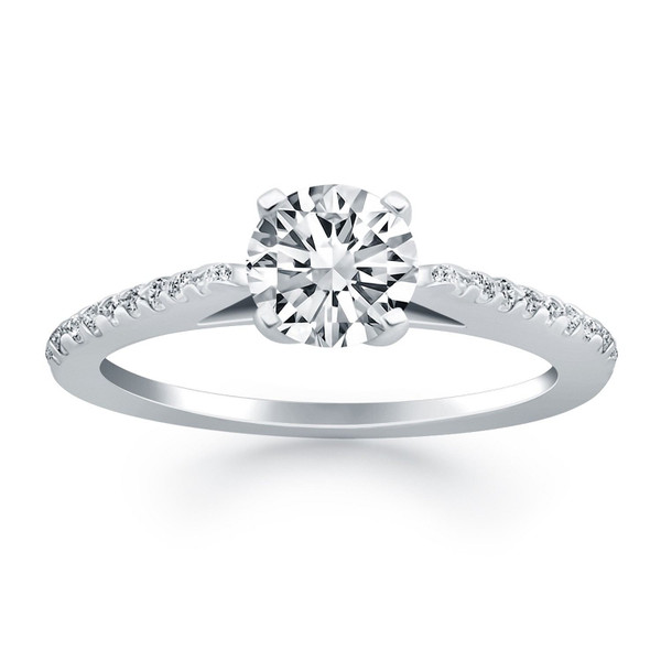 14k White Gold Micro Prong Diamond Cathedral Engagement Ring P150-77690-4