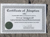 Shark Adoption certificate