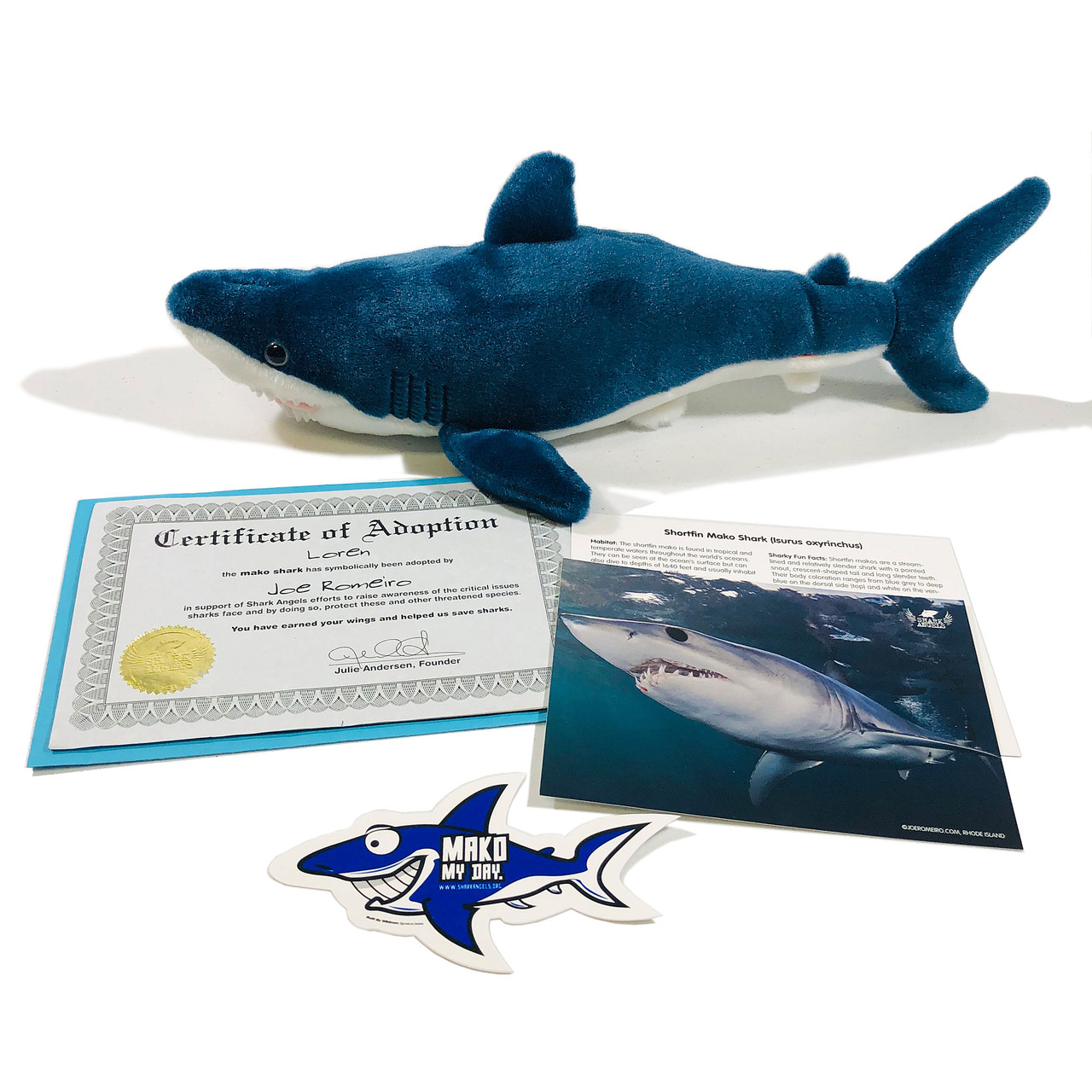 Adopt a Shark  Shark Angels - Shark Conservation Group