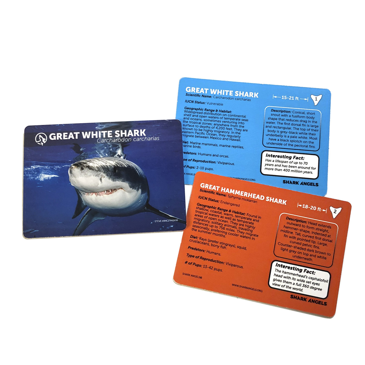 Sharks trading cards