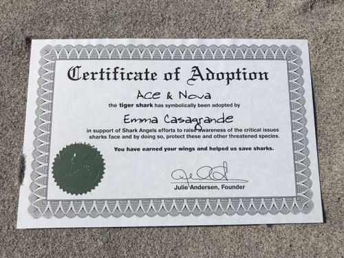 Shark Adoption certificate