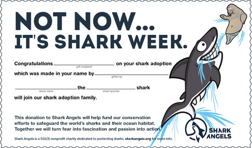 Adopt A Virtual Shark - Happy Shark Week